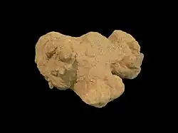 Poupée de lœss (Neewiller)