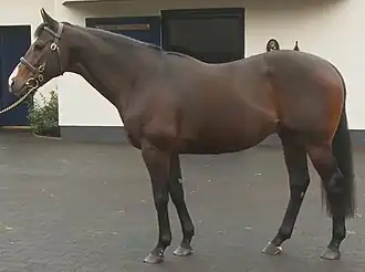 Image illustrative de l’article Pour Moi