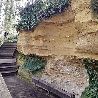 Falaise de Pont-Pourquey en bord de ruisseau.