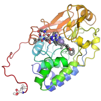 Image illustrative de l’article Protéine phosphatase 2