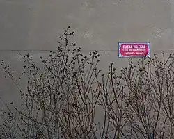 Dans une rue de Prague (Tchéquie).