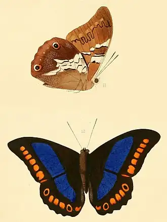 Description de cette image, également commentée ci-après