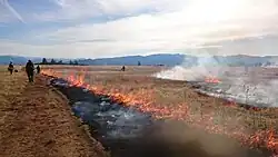 Écobuage effectué par une poignée de personnes le long d'un chemin.