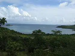 Côte sud de la presqu'île