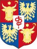 Scarlat Kallimachis