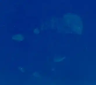 Image satellite du banc Prince of Wales prise par la NASA.