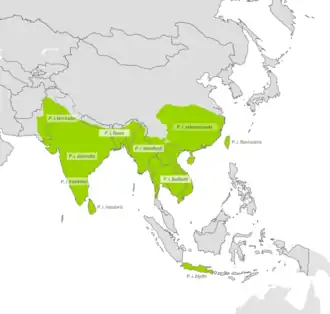 Description de l'image Prinia_inornata_distribution_map.png.