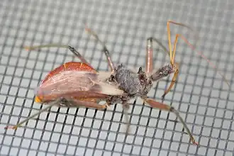 Description de cette image, également commentée ci-après