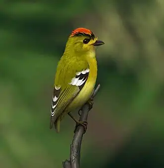 Description de cette image, également commentée ci-après