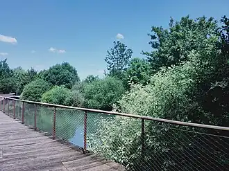 Chemin de promenade.