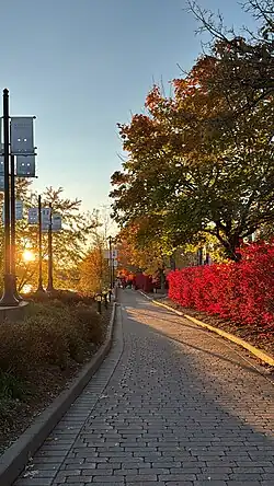 Promenade du Lac-des-Nations au mois d'octobre lors du coucher de soleil