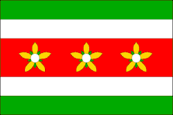 Drapeau de Prosečné