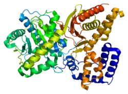 Description de l'image Protein_CHAT_PDB_2fy2.png.