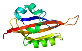Image illustrative de l’article EPAS1