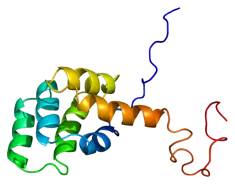 Image illustrative de l’article Récepteur Fas