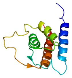 P600; IL-13; ALRH; BHR1; MGC116786; MGC116788; MGC116789