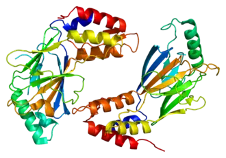 Image illustrative de l’article IRF3