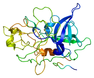 Image illustrative de l’article Urokinase