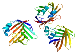 Image illustrative de l’article PMP2