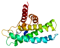 Image illustrative de l’article Protéine du rétinoblastome