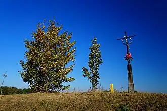 Bisztynek-Kolonia