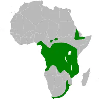 Description de l'image Psalidoprocne_pristoptera_distribution_map.png.