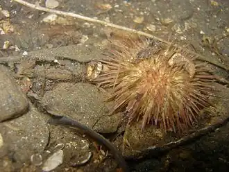 Description de cette image, également commentée ci-après