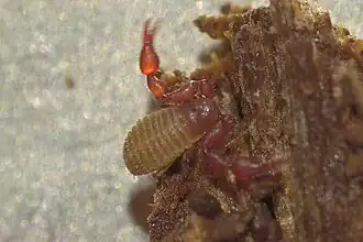 Description de cette image, également commentée ci-après