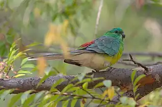 Description de cette image, également commentée ci-après