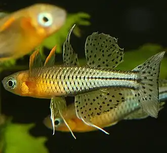 Description de cette image, également commentée ci-après