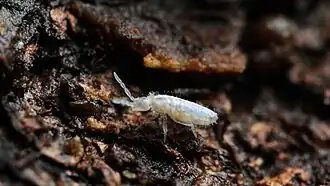 Description de cette image, également commentée ci-après