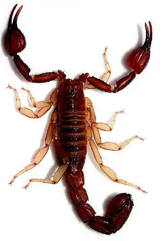 Description de cette image, également commentée ci-après