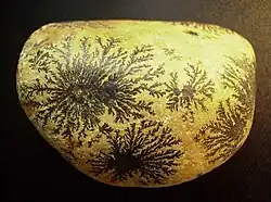 Psilomélane dendritique sur un galet