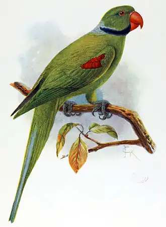 Description de cette image, également commentée ci-après