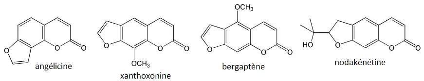 Différentes furocoumarines