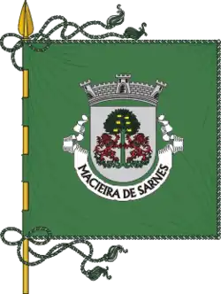 Drapeau de Macieira de Sarnes