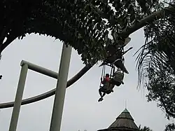 Pteranodon Flyers à Universal's Islands of Adventure