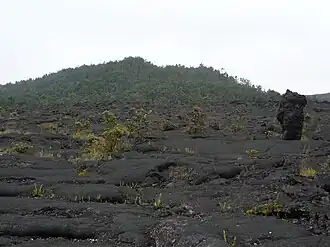 Vue du Puʻu Huluhulu depuis les coulées de lave du Mauna Ulu avec un arbre de lave sur la droite.