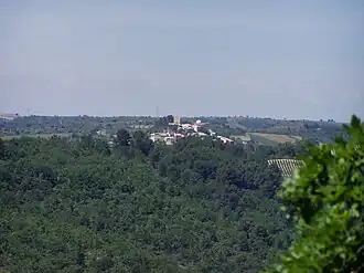 Puimichel