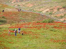 Réserve naturelle de Pura.