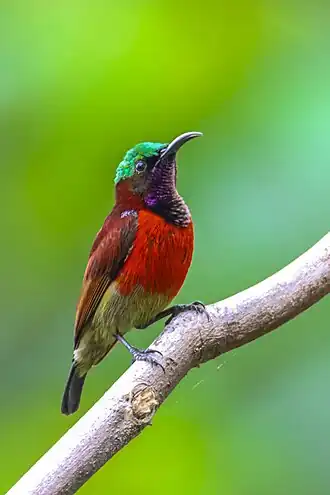 Description de cette image, également commentée ci-après