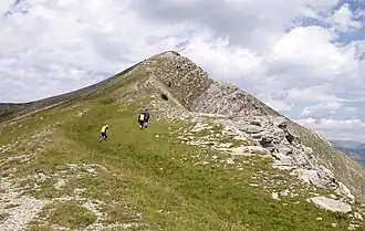 Versant sud du puy du Pas Roubinous dont le sommet est coiffé par une couche de grès.