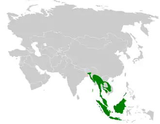 Description de l'image Pycnonotus atriceps distribution map.png.