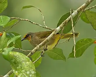 Description de cette image, également commentée ci-après