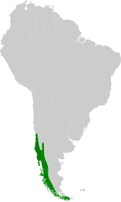 Carte de l'Amérique du Sud en gris, l'extrême sud-est en vert.