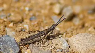 Description de cette image, également commentée ci-après