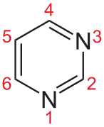 Pyrimidine