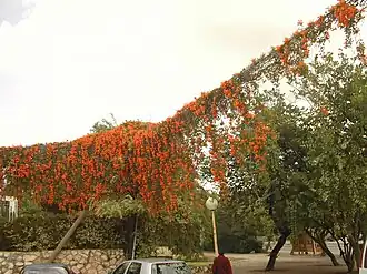 Description de cette image, également commentée ci-après