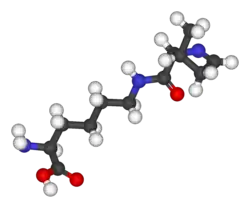Image illustrative de l’article Pyrrolysine