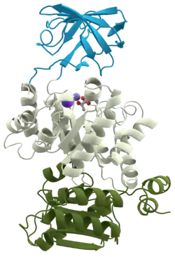 Description de cette image, également commentée ci-après